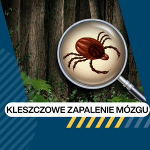 Bezpłatny Program Profilaktyki Kleszczowego Zapalenia Mózgu