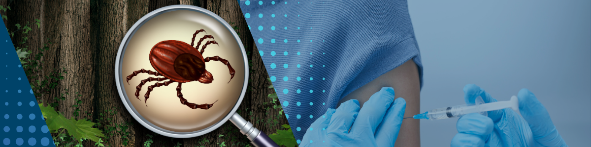 Kleszczowe zapalenie mózgu - szczepienie
